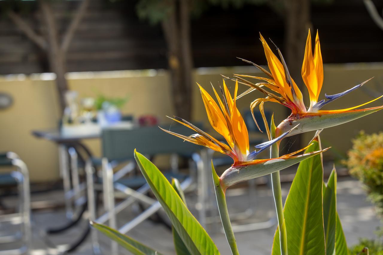 Ayia Napa Tropical Beach Villa מראה חיצוני תמונה
